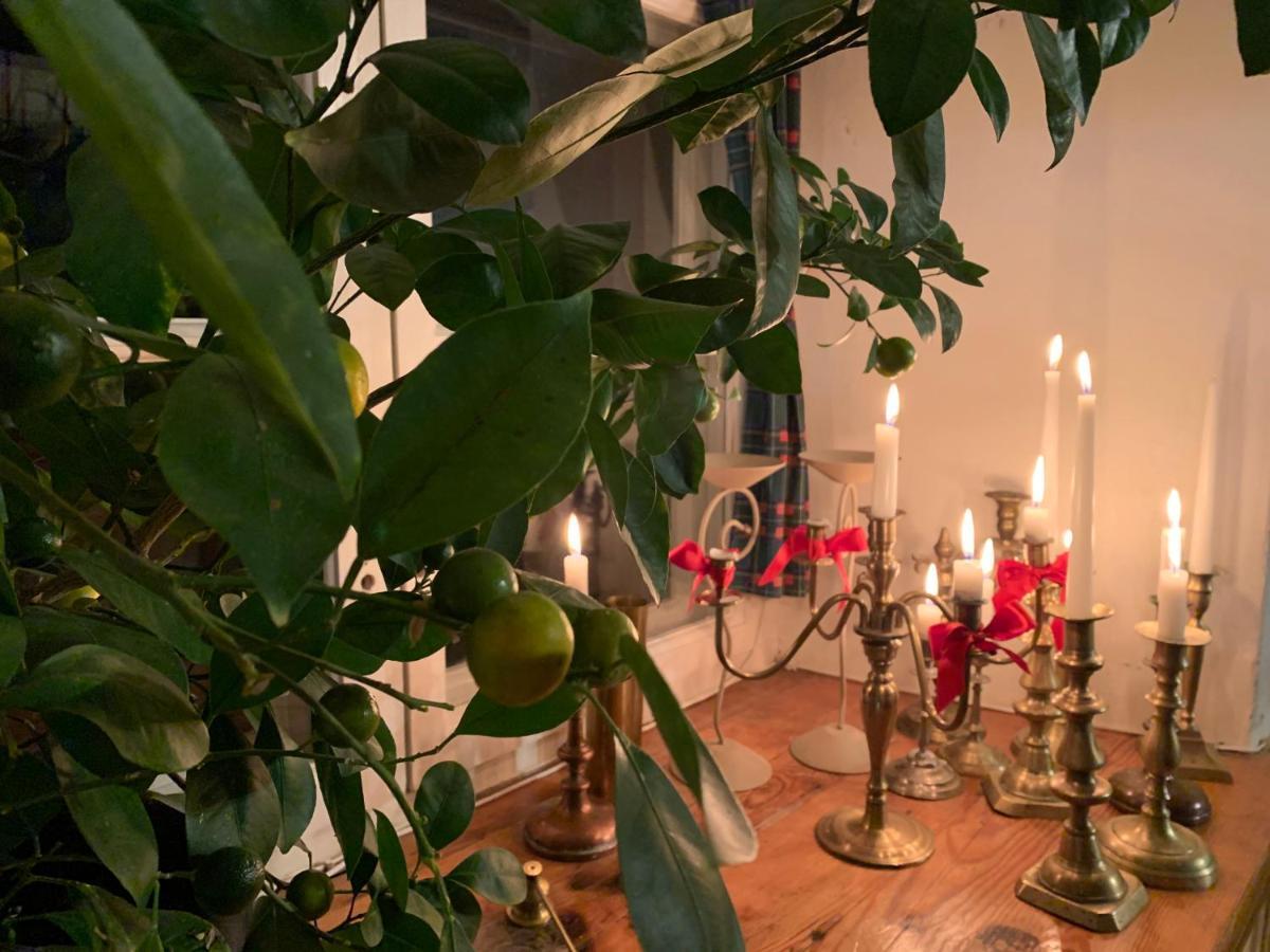 Balta Maja Hotel Pilsrundāle Екстериор снимка