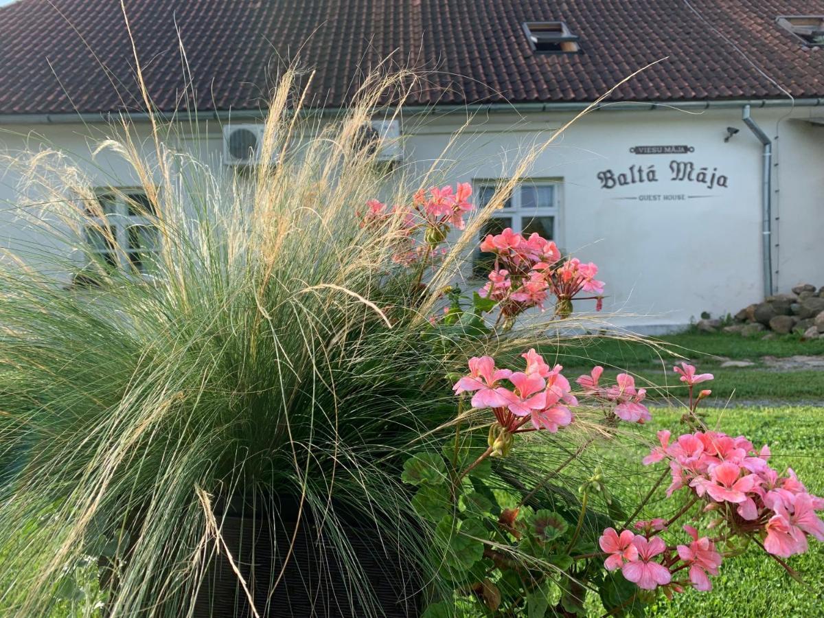 Balta Maja Hotel Pilsrundāle Екстериор снимка